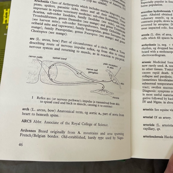 The Horse’s Health From A to Z An Equine Veterinary Dictionary 1978 - Picture 15 of 16